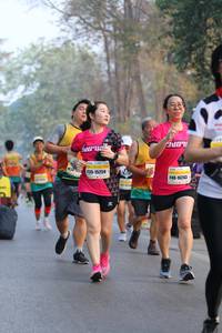 BIB: 15259, 16243
                            <button type="button" onclick="openModal(10414404)" class="btn btn-primary btn-sm float-right btn-popup" data-toggle="modal" data-target=".modal-high-quality">
                        <i class="fas fa-shopping-cart"></i> Add to Cart
                    </button>
                                            <button type="button" onclick="isThisMe(10414404, true)" class="btn btn-success btn-sm float-right btn-popup btn-isme hidden" data-toggle="tooltip" data-placement="bottom" title="นี่คือรูปของคุณใช่ไหม คลิกที่นี่เพื่อเอาเข้าอัลบั้ม">
                        <i class="fas fa-plus"></i> Add to album
                    </button>
                    <button type="button" onclick="isThisMe(10414404, false)" class="btn btn-warning btn-sm float-right btn-popup btn-isnotme hidden">
                        <i class="fas fa-ban"></i> Remove from album
                    </button>